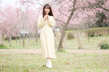 美しい日本女性