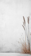 Dried Grasses Against a White Textured Wall