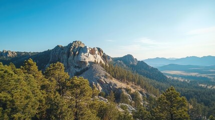 Scenic Mountain Landscape with Clear Sky and Pine Tree Forest