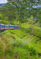 Fototapeta premium Colonial train route built by the British Empire, offering a journey through history, stunning mountains, waterfalls, and tea estates—Ella Odyssey train journey 2024.12.13 Ella Sri Lanka
