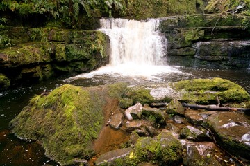 Rocky Waterfall in the Rainforest - Stunning Tropical Nature Footage