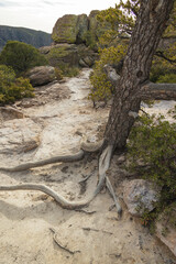 Hiking trail at Chiricahua National Monument, Arizona
