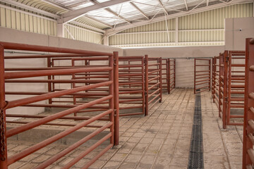livestock partition in a warehouse in an abattoir slaughterhouse livestock gates and panels cattle,...