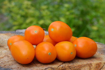 Group of medium-sized orange tomatoes on an old tree stump. Organic gardening concept.