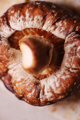 Shiitake mushrooms are entirely edible as their stalks are still tender. When cooked, it releases a rich, earthy and umami flavour