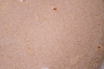 Activate dry yeast on warm water with pinch of sugar