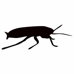 black silhouette of cockroach insect