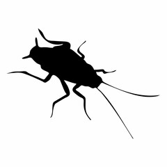 black silhouette of cockroach insect