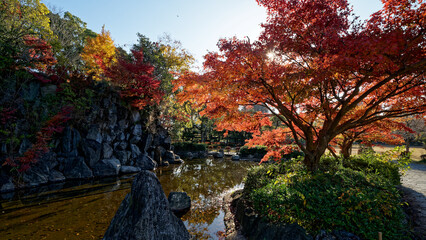 Obraz premium 紅葉のある風景