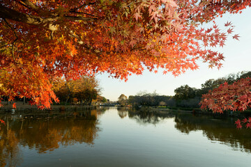 Autumn Colors in the Park