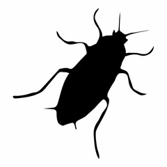 black silhouette of cockroach insect