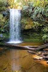 Koropuku Falls - Hidden Waterfall Gem in New Zealand's Rainforest