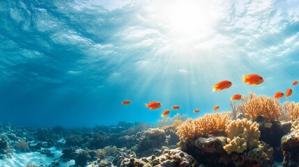 Naklejka premium Underwater scene with vibrant fish and coral illuminated by sunlight.