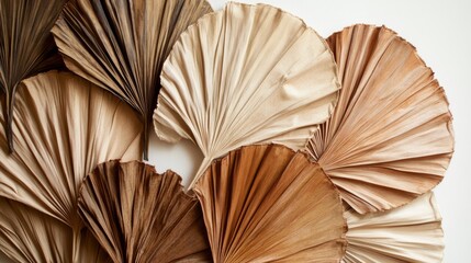 66.A collection of dried palm leaves arranged in a fan-like display, showcasing varying shades of brown and beige; each leaf is textured, with natural lines and folds, set against a light background