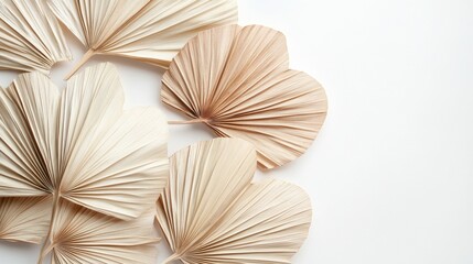 96.Close-up of dried palm leaves arranged against a white background, showcasing the fan-shaped leaves with intricate natural textures. The pale, earthy hues of the leaves create a rustic aesthetic,