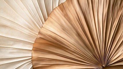 70.Dried palm leaves set in a fan-like shape, displaying a range of beige and brown hues; the textures of each leaf are detailed, with visible lines and natural folds, all showcased against a light