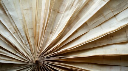 70.Dried palm leaves set in a fan-like shape, displaying a range of beige and brown hues; the textures of each leaf are detailed, with visible lines and natural folds, all showcased against a light