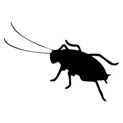 black silhouette of cockroach insect