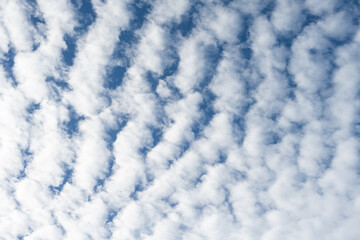 Layer of white puffy clouds, Cirrus and Altocumulus, against a dark blue sky, atmospheric phenomenon as a light filled nature background
