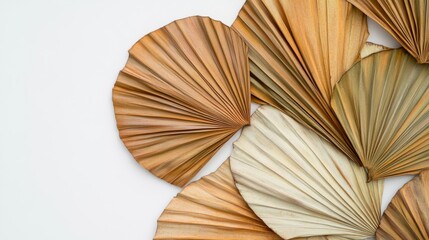 98.Dried tropical palm leaves in fan shapes set against a white background, arranged to highlight their natural folds and textures. The leavesâ€™ earthy tones and intricate vein patterns create an