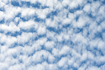 Layer of white puffy clouds, Cirrus and Altocumulus, against a dark blue sky, atmospheric...