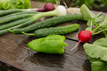 fresh vegetables in the garden