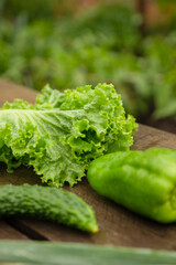 fresh vegetables in the garden