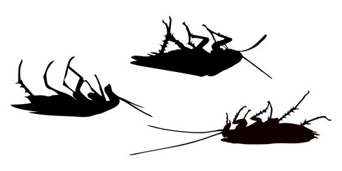 black silhouette of cockroach insect © Kuldi