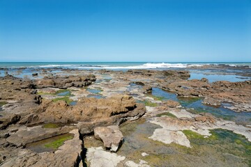 Curio Bay Rugged Coastal Landscape at Low Tide on a Sunny Day - Scenic New Zealand