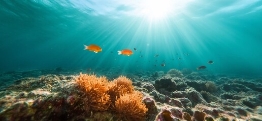 Fototapeta premium Underwater scene with fish and coral, illuminated by sunlight.