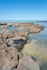 Curio Bay Rugged Coastal Landscape at Low Tide on a Sunny Day - Scenic New Zealand