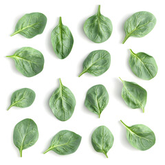 A few fresh 3D Spinach Leaves arranged in a scattered pattern, showing their smooth and veined texture