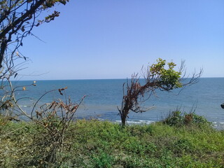 playa 