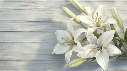 Fototapeta premium 百合の花