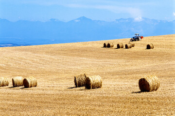 丘と牧草ロール（美瑛町）