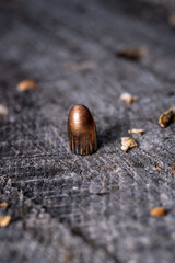 9mm bullet