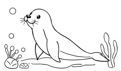 Obraz premium Smiling seal drawing detailed line vector art sea sand ground minimalist. AI Generated