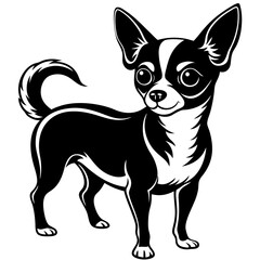 Chihuahua Dog Silhouette on White Background in Vector illustration  