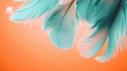 Light teal feathers fluttering gently against a pastel orange background, their soft edges catching the light with room for text or design.