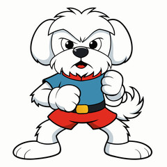 Obraz premium Maltese dog fighting on white background