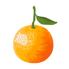 Orange sweet tangerine with green leaf isolated on white background. Fresh fruit. Symbol of Chinese New Year, Tet.	