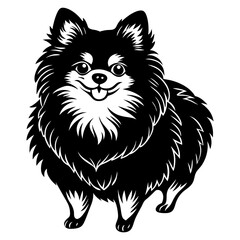 Pomeranian dog Silhouette on white background on Vector and illustration