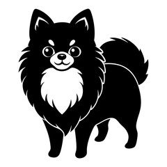 Pomeranian dog Silhouette on white background on Vector and illustration