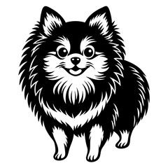 Pomeranian dog Silhouette on white background on Vector and illustration