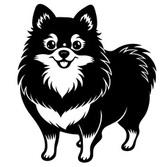 Pomeranian dog Silhouette on white background on Vector and illustration
