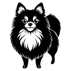 Pomeranian dog Silhouette on white background on Vector and illustration