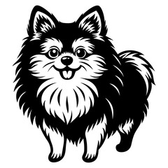 Pomeranian dog Silhouette on white background on Vector and illustration