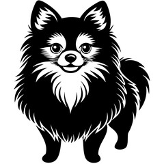 Pomeranian dog Silhouette on white background on Vector and illustration