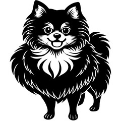 Pomeranian dog Silhouette on white background on Vector and illustration