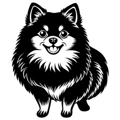Pomeranian dog Silhouette on white background on Vector and illustration
